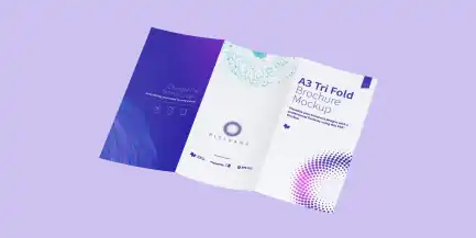 67726cef4dd4dbca1d749a3a corporate brochures design